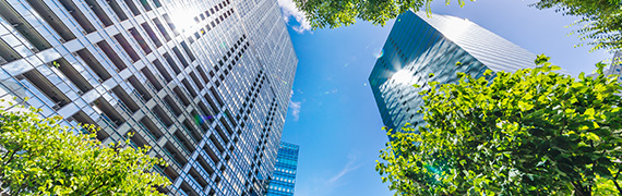 Corporate profile